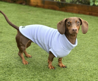 Dachsie Jumper, Lavender Dachsie Jumper, Lavender