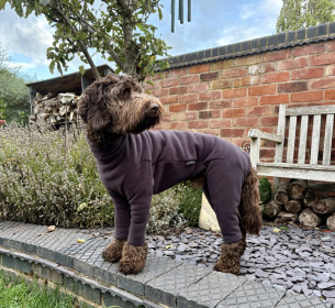 Dog Suit, Espresso Dog Suit, Espresso