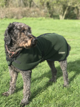 Dog Coat, Loden Green