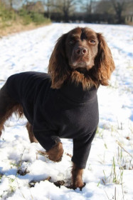 Dog Jumper, Espresso