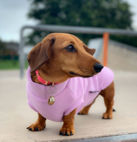 Dachsie Jumper, Pale Heather Dachsie Jumper, Pale Heather