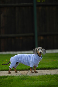 Dachsie Suit, Lavender